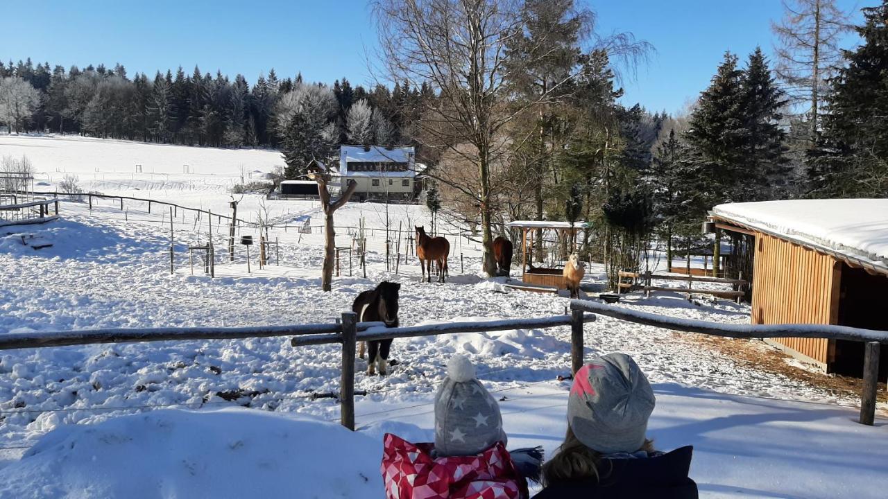 "Sporthuetten Nassau" Ihr Zentrales Domizil An Der Blockline Rechenberg-Bienenmühle Exterior foto
